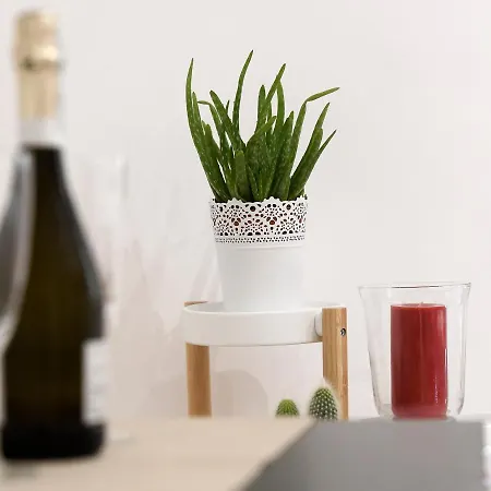 La Casa Degli Osti 2 - Piazza Navona